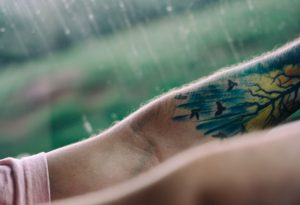Tatouage arbre de vie coloré avec oiseaux sur bras