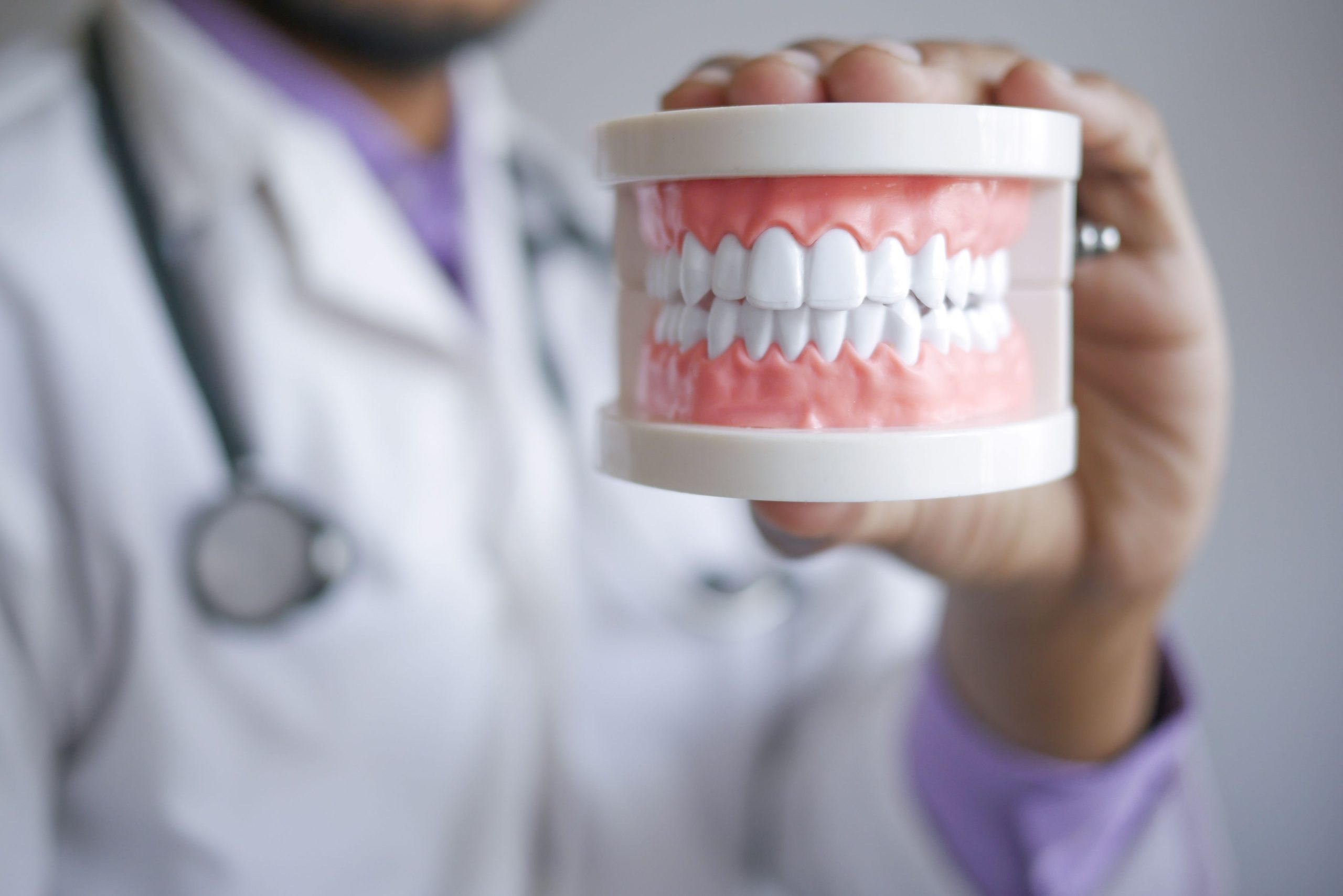 Dentiste tenant une prothèse dentaire clinique