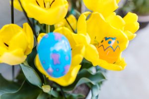 Oeufs de Paques colorés parmi tulipes jaunes